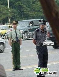 交警搞笑背景,交通法规之外的欢乐时光