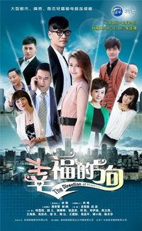 幸福的方向演员表,实力派云集，演绎感人至深的情感故事