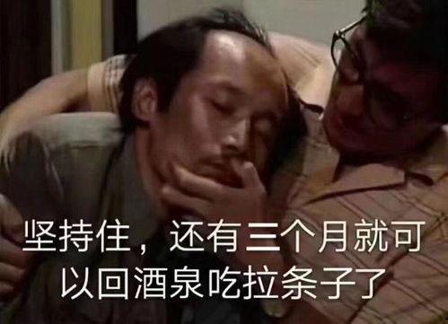 葛优放假表情包6,笑出腹肌的放假日常