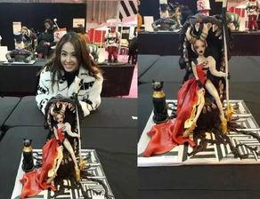 娱乐方面的手艺,揭秘明星们的才艺秘密