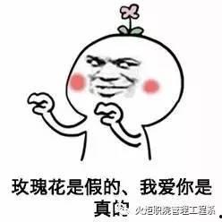 反转系列表情包,揭秘网络笑料背后的真实情感